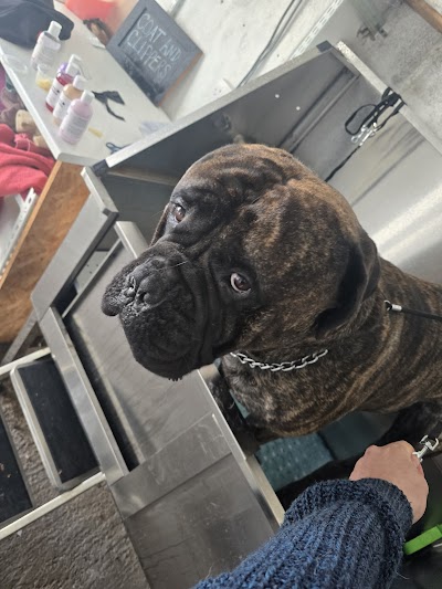 Grooming Van Image
