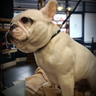 Grooming Van Image
