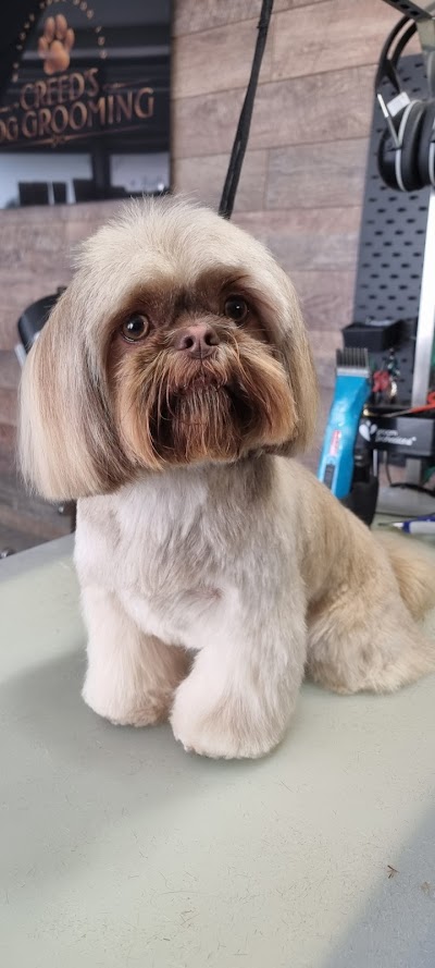 Grooming Van Image