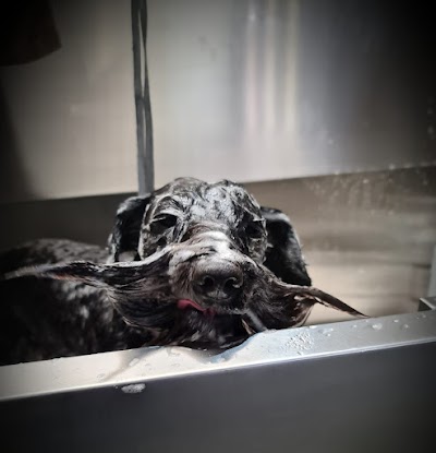 Grooming Van Image