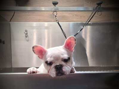 Grooming Van Image