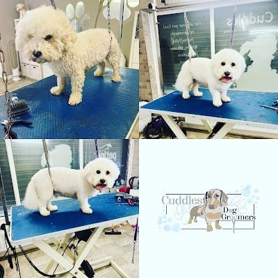 Grooming Van Image