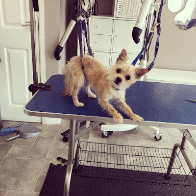 Grooming Van Image