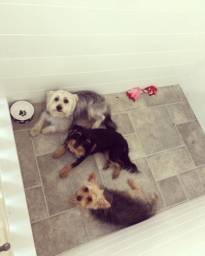 Grooming Van Image