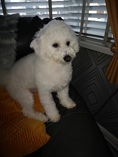 Grooming Van Image