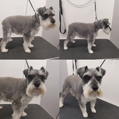 Grooming Van Image