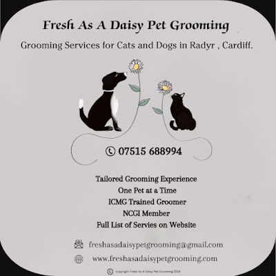 Fresh As A Daisy Pet Grooming - Dog and Cat Grooming Services