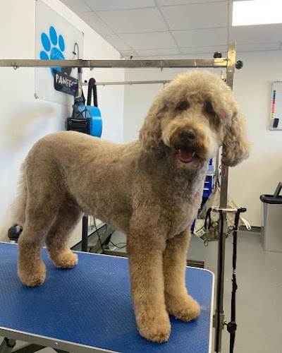 Grooming Van Image