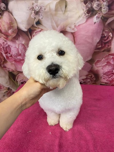 Grooming Van Image