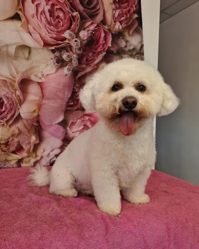 Furfection Dog Grooming
