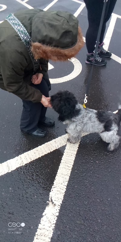 Grooming Van Image