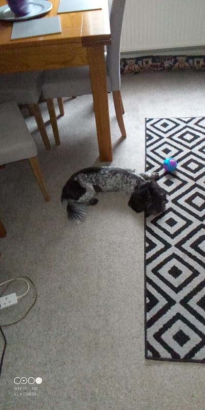 Grooming Van Image