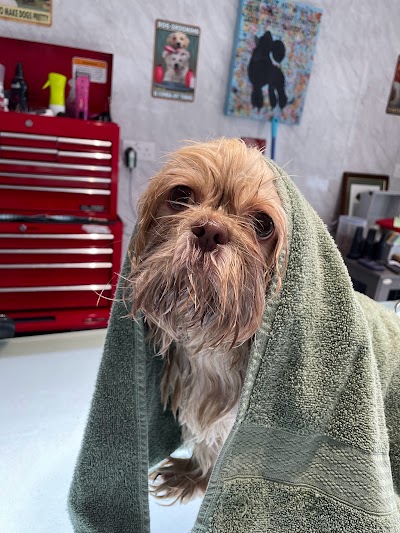 Grooming Van Image