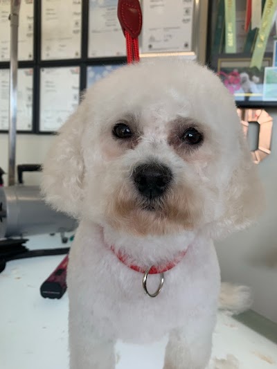 Grooming Van Image