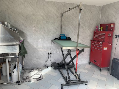 Grooming Van Image