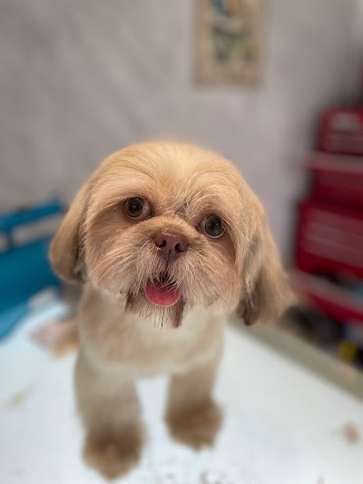 Grooming Van Image