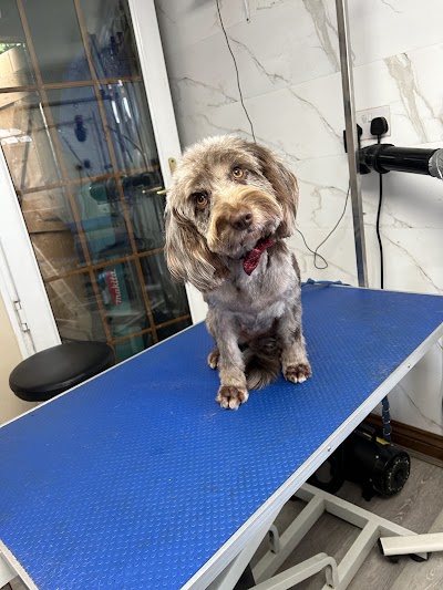 Grooming Van Image