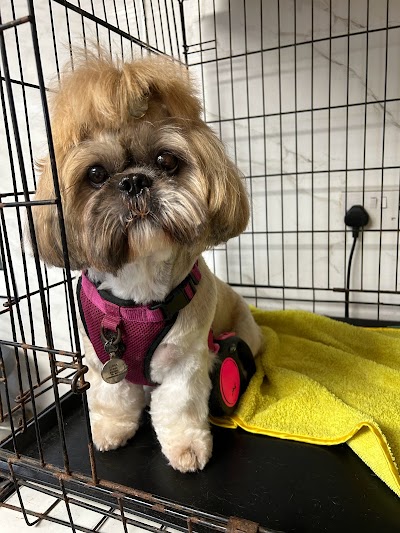 Grooming Van Image
