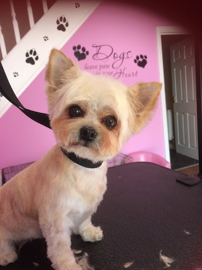 Grooming Van Image
