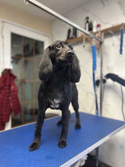 Grooming Van Image