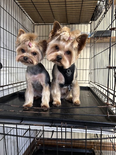 Grooming Van Image
