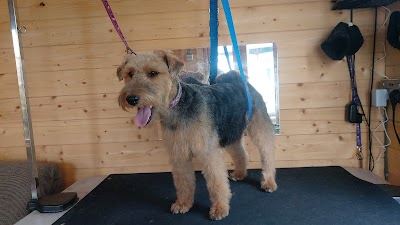 Grooming Van Image
