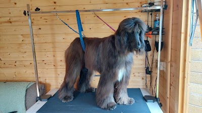 Grooming Van Image