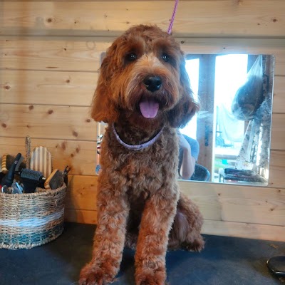 Grooming Van Image