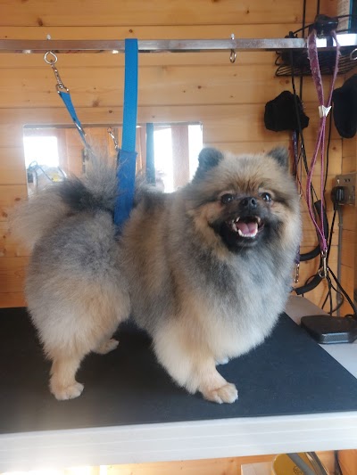 Grooming Van Image