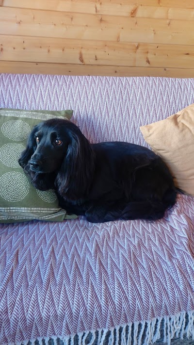 Grooming Van Image
