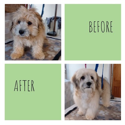 Grooming Van Image