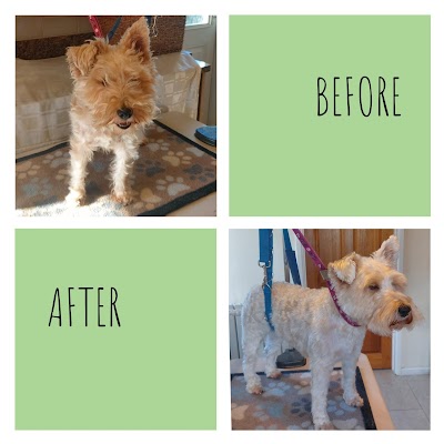Grooming Van Image