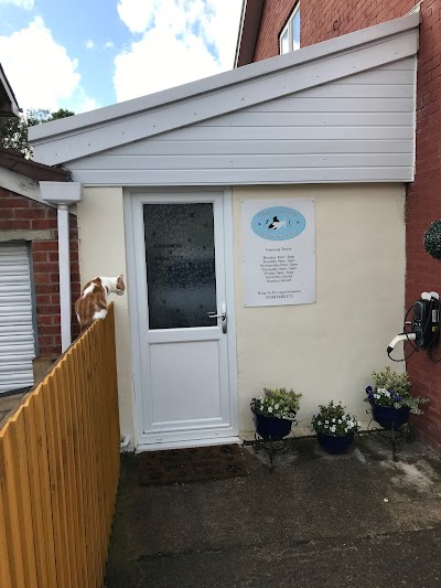 Grooming Van Image