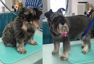 Grooming Van Image