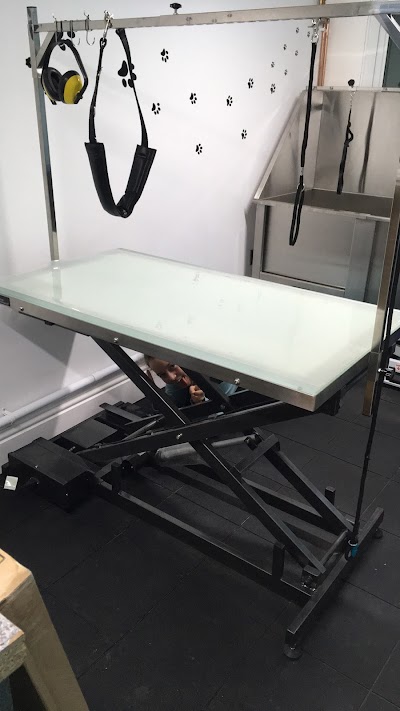 Grooming Van Image