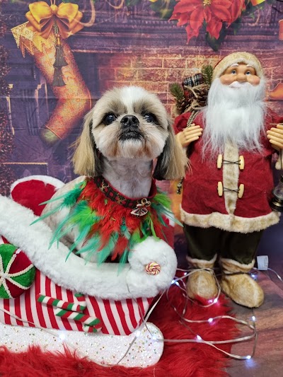 Grooming Van Image