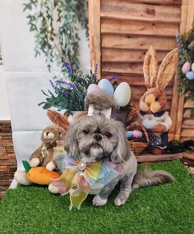 Grooming Van Image
