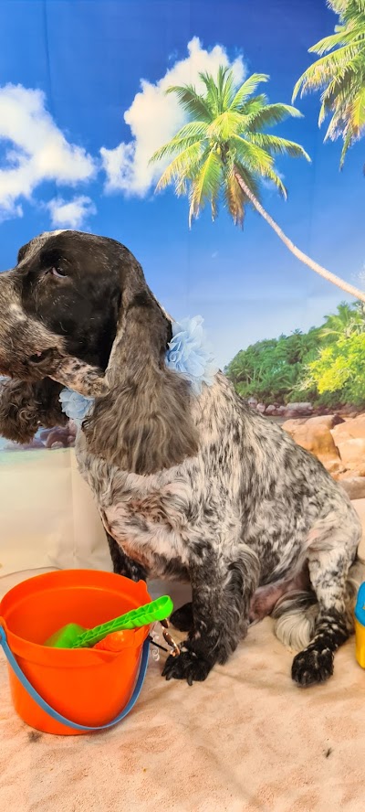 Grooming Van Image