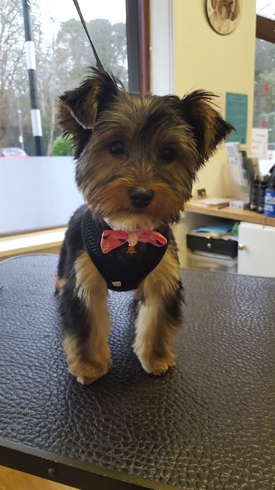 Grooming Van Image
