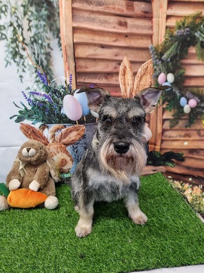 Grooming Van Image