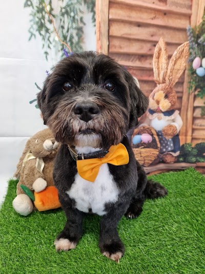 Grooming Van Image