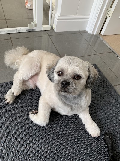 Pawprint Dog Grooming