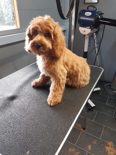 Grooming Van Image