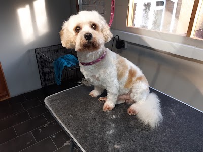 Grooming Van Image