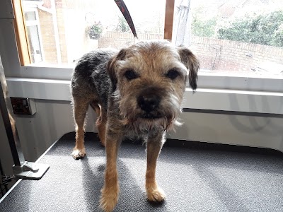 Grooming Van Image