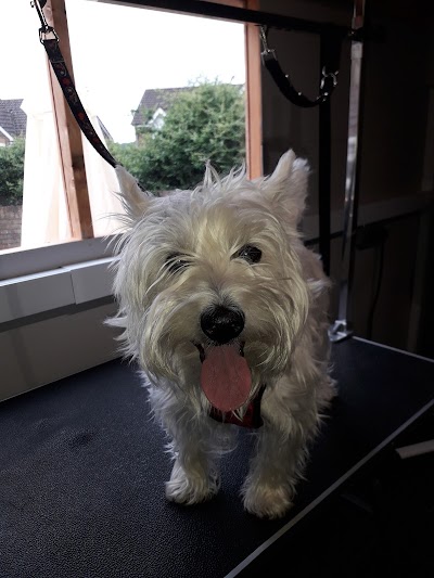 Grooming Van Image