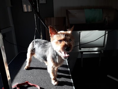 Grooming Van Image