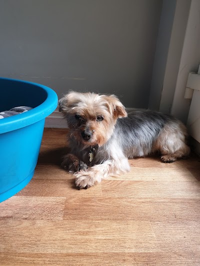 Grooming Van Image