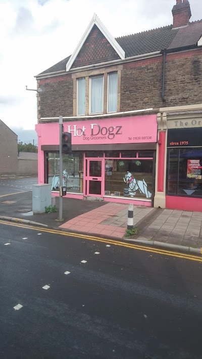 Grooming Van Image