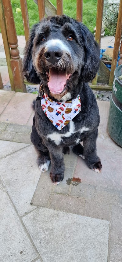 Grooming Van Image